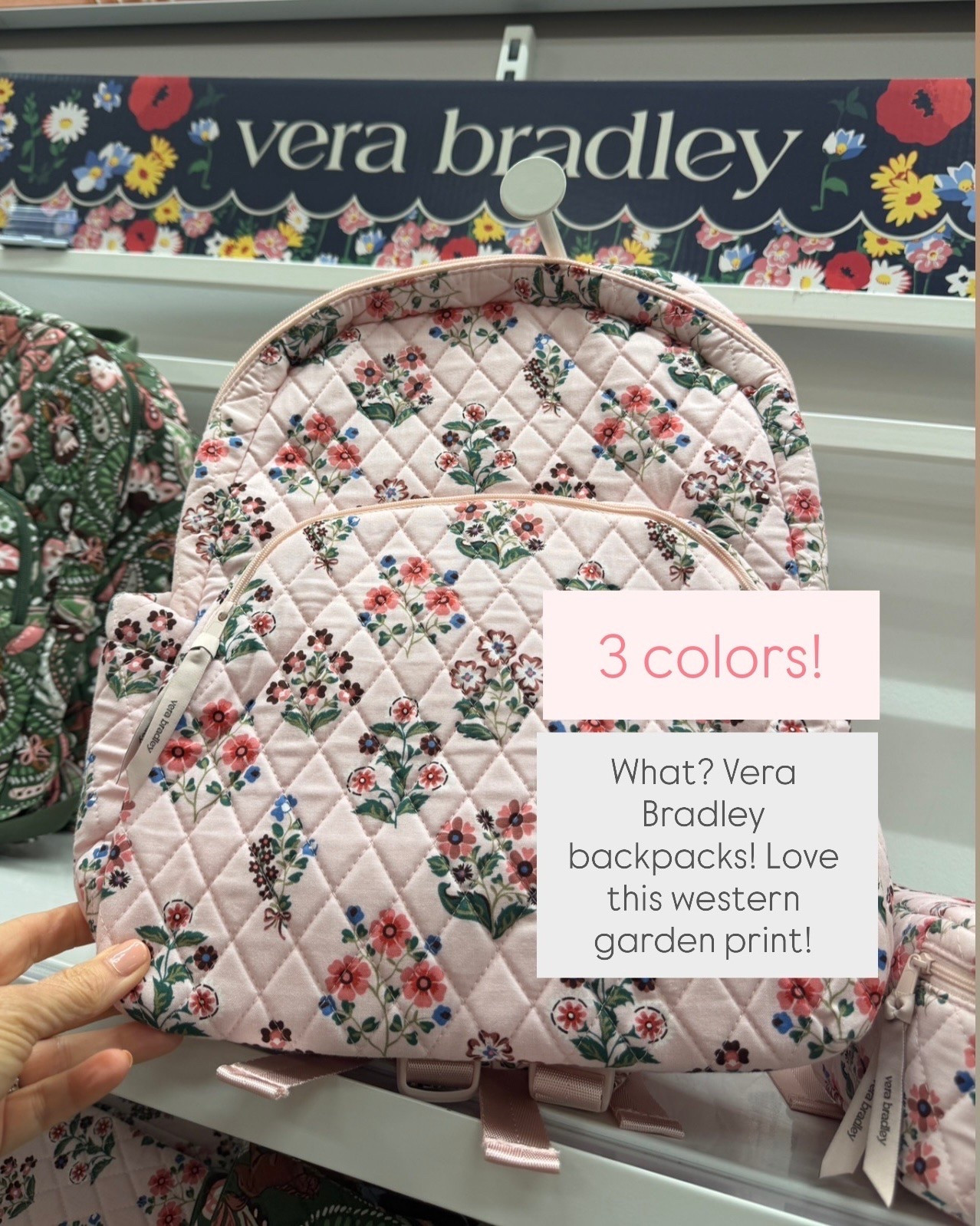 Vera Bradley at Target