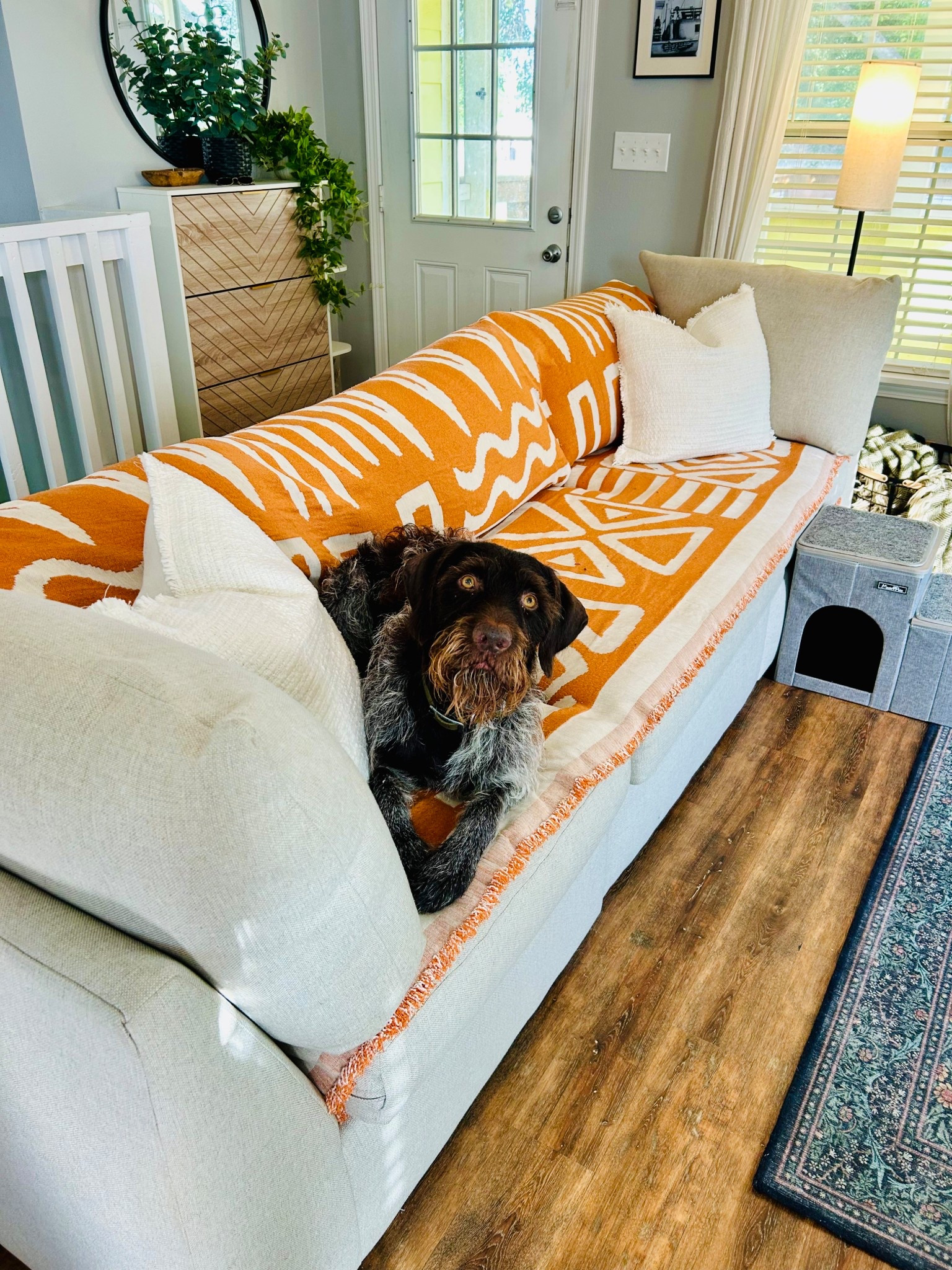 I LOVE these washable couch covers! With 2 dogs who love sitting on the couch, we need something to protect our couches and keep them fresh & clean. 

#LTKHome #LTKPets