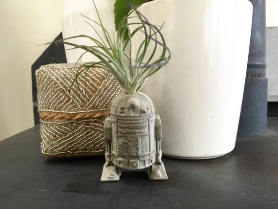 Small R2D2 Air Plant Holder  Concrete Paperweight  Star Wars | Etsy | Etsy (US)