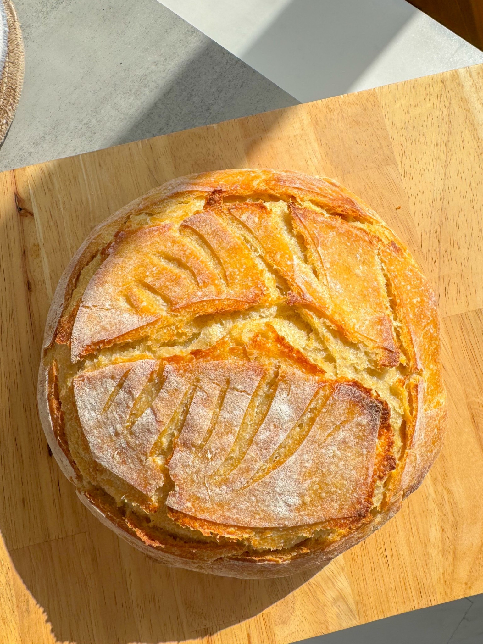 The Le Crueset Oven we use for our sourdough ❤️

#LTKSaleAlert #LTKHome #LTKFamily