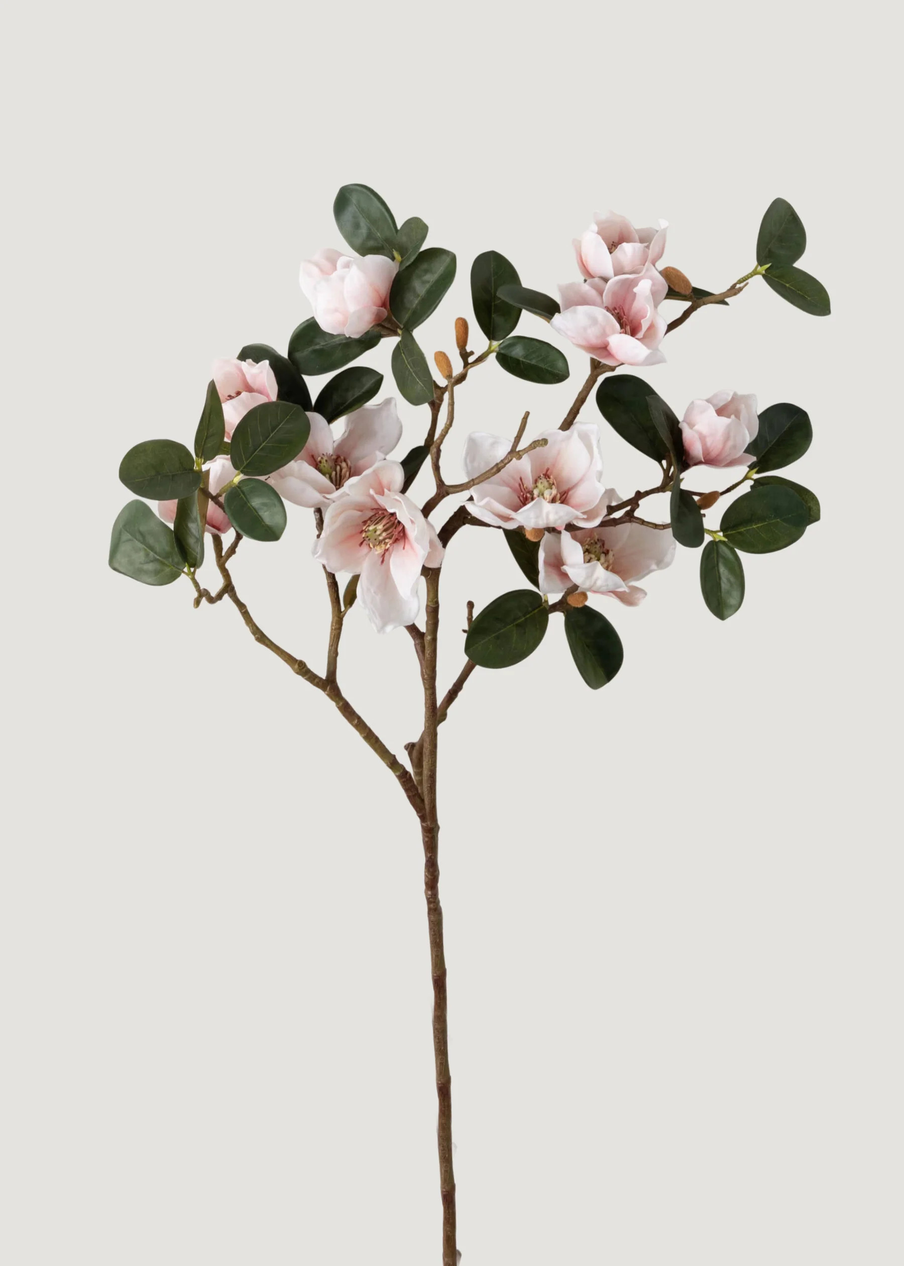 Faux Magnolia Branch in Blush | Artificial Spring Flowers | Afloral | Afloral