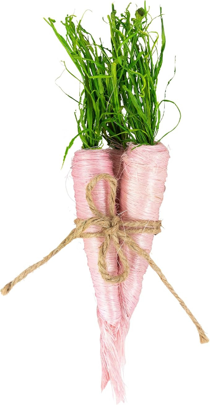 Northlight Straw Carrot Easter Decorations - 9"- Pink and Green - Set of 3 | Amazon (US)