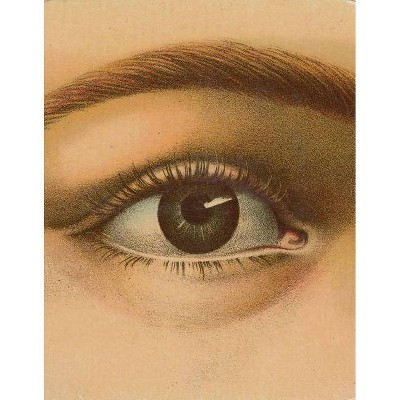 John Derian Picture Book - (John Derian Paper Goods) (Hardcover) | Target