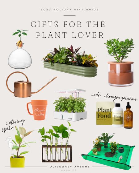 Ultimate gift guide for the plant lovers! Calling all nature fanatics 🌳☀️ 

#LTKfindsunder50 #LTKhome #LTKGiftGuide