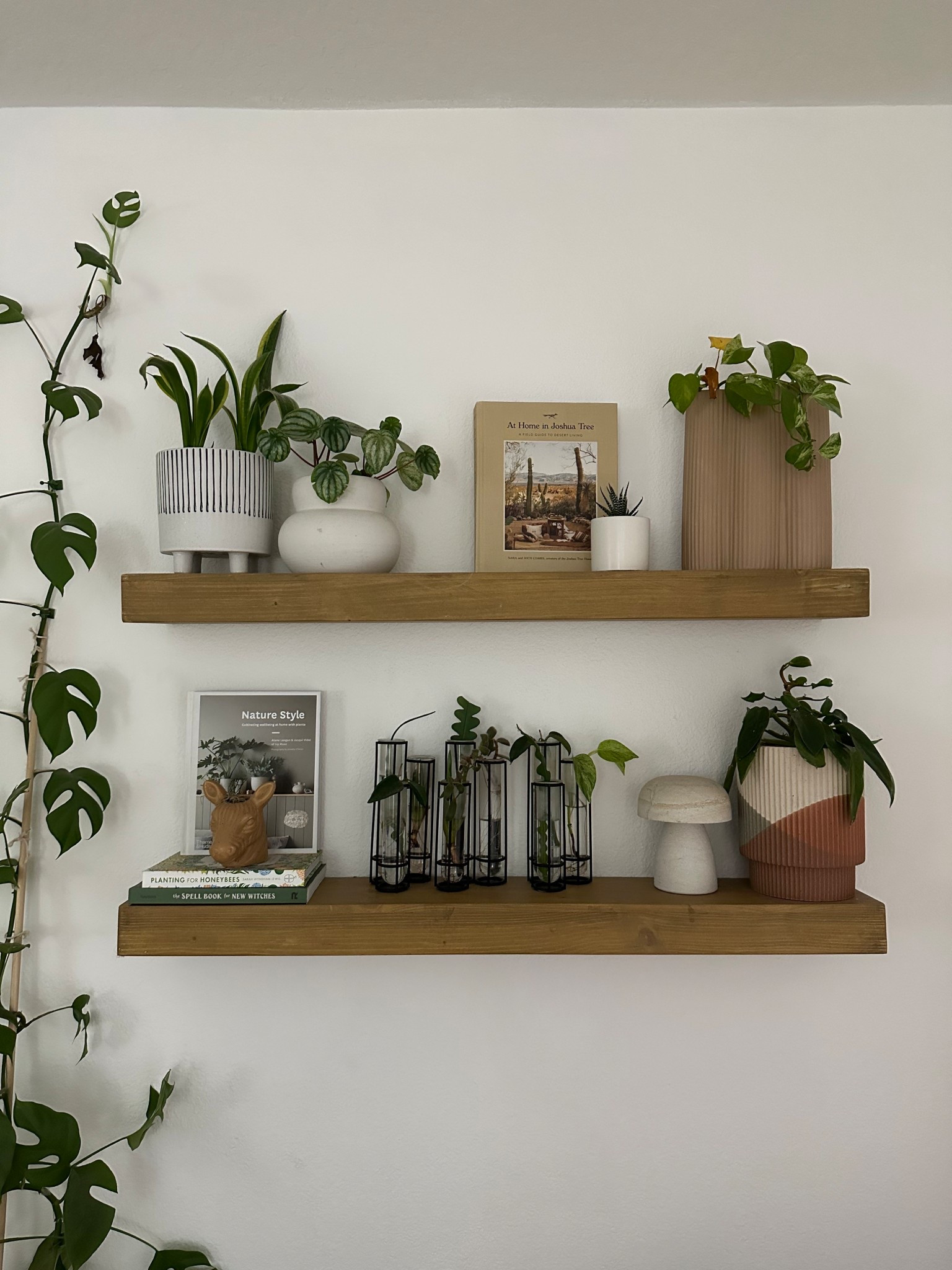 Propagation station on our master bedroom shelves / home decor / boho home style / plant styling 

#LTKFindsUnder50 #LTKHome #LTKFindsUnder100