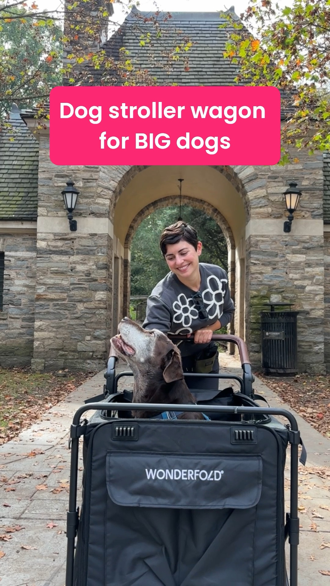 This is amazing for big senior dogs losing mobility, open a world of enrichment to them! There’s a fold out ramp to get them in 

#LTKFamily #LTKActive #LTKPets