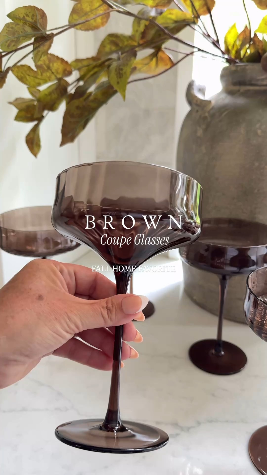 HOT ITEM 🔥🔥
These brown coupe glasses are selling out fast! These are gorgeous and from Target! 
🤎🤎🤎🤎🤎

fall decor | cocktails | entertaining | dining | champagne | prosecco | brown decor | falll branches



#LTKHome #LTKSaleAlert #LTKFindsUnder50