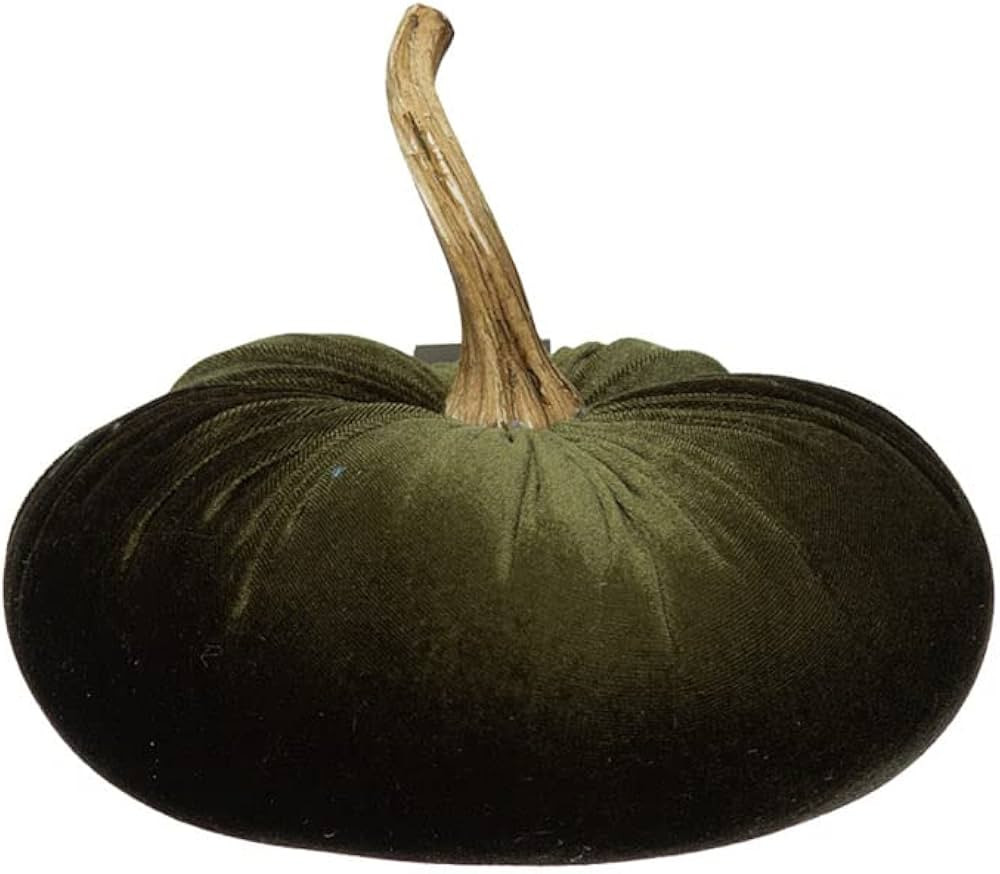 Creative Co-Op Decorative Velvet Pumpkin with Resin Stem, Green | Amazon (US)