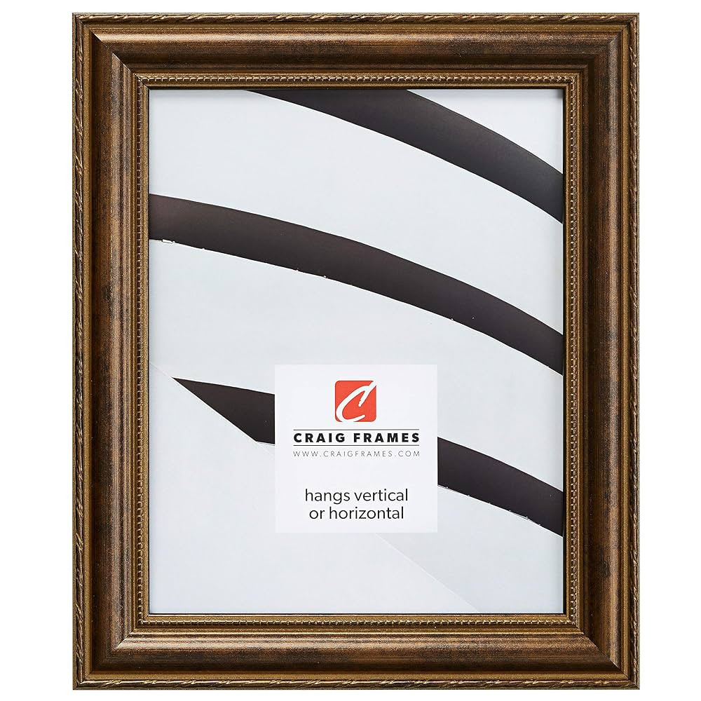 Craig Frames Victoria, Ornate Bronze Picture Frame, 24 x 32 Inch | Amazon (US)