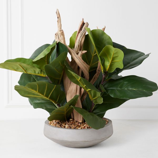 Fiddle Leaf Branches In Bowl | Z Gallerie