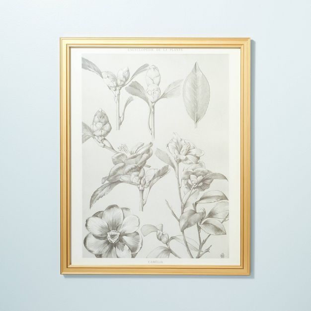 24" x 30" Botanical Sketch Framed Wall Art - Hearth & Hand™ with Magnolia | Target