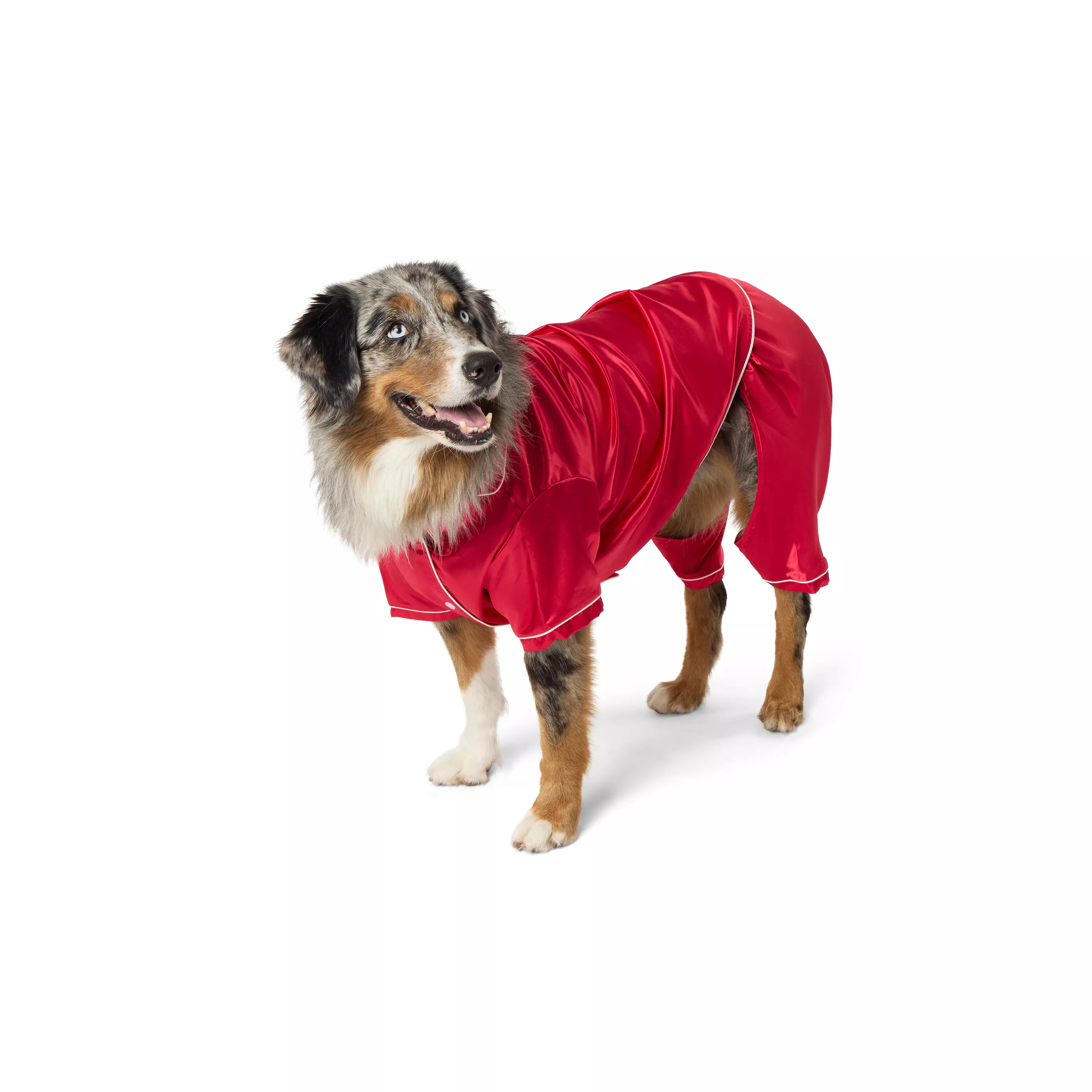 Merry & Bright&trade; Red Satin Pajamas, Dog & Cat | PetSmart