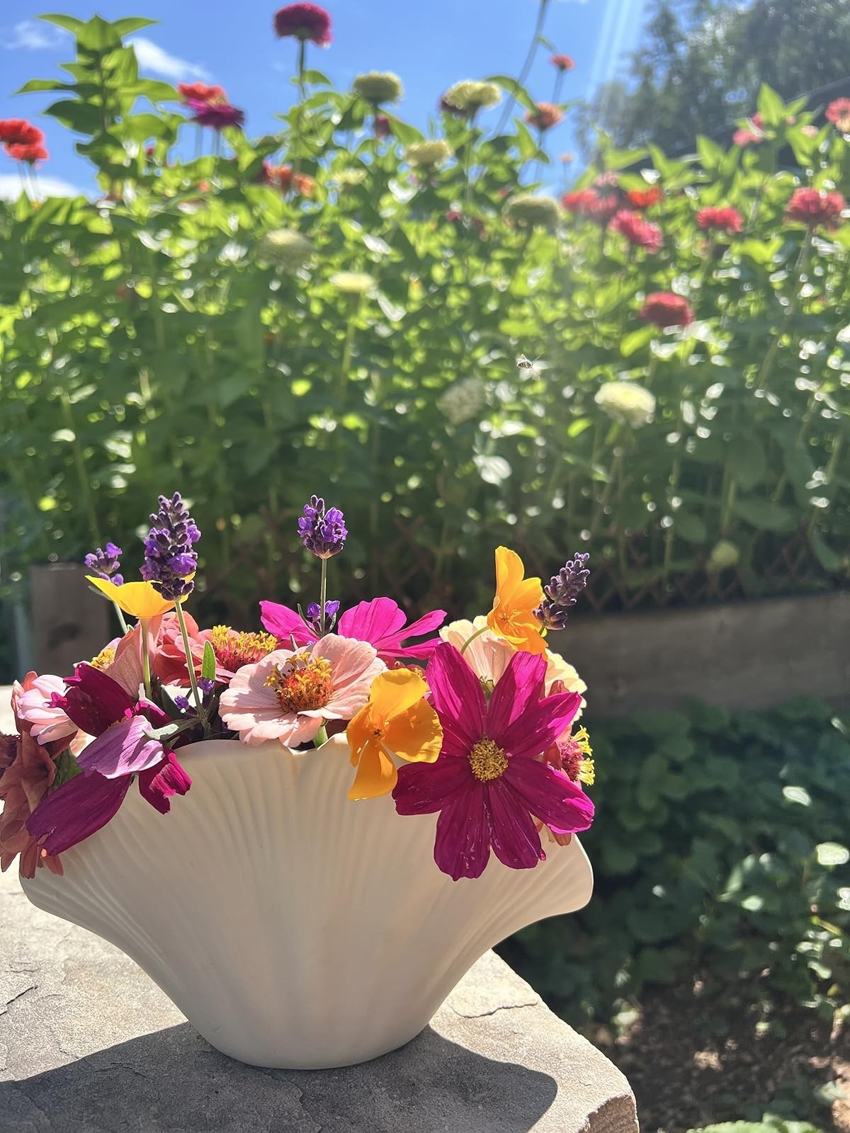Wanting to elevate your flower arrangements this year? One of my all time favorites from last year was this shell vase! I had a blast putting together different combinations of my harvested blooms 🌸💐

#LTKHome #LTKSaleAlert #LTKSeasonal