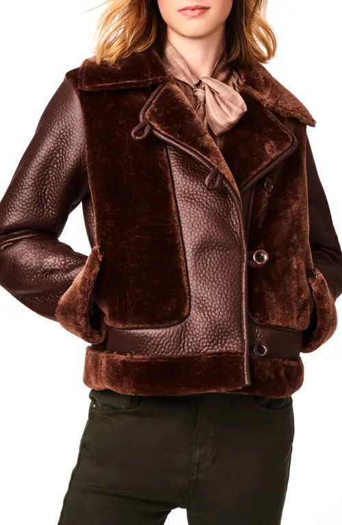 Bernardo Crop Mixed Media Aviator Jacket in Brown at Nordstrom, Size Large | Nordstrom