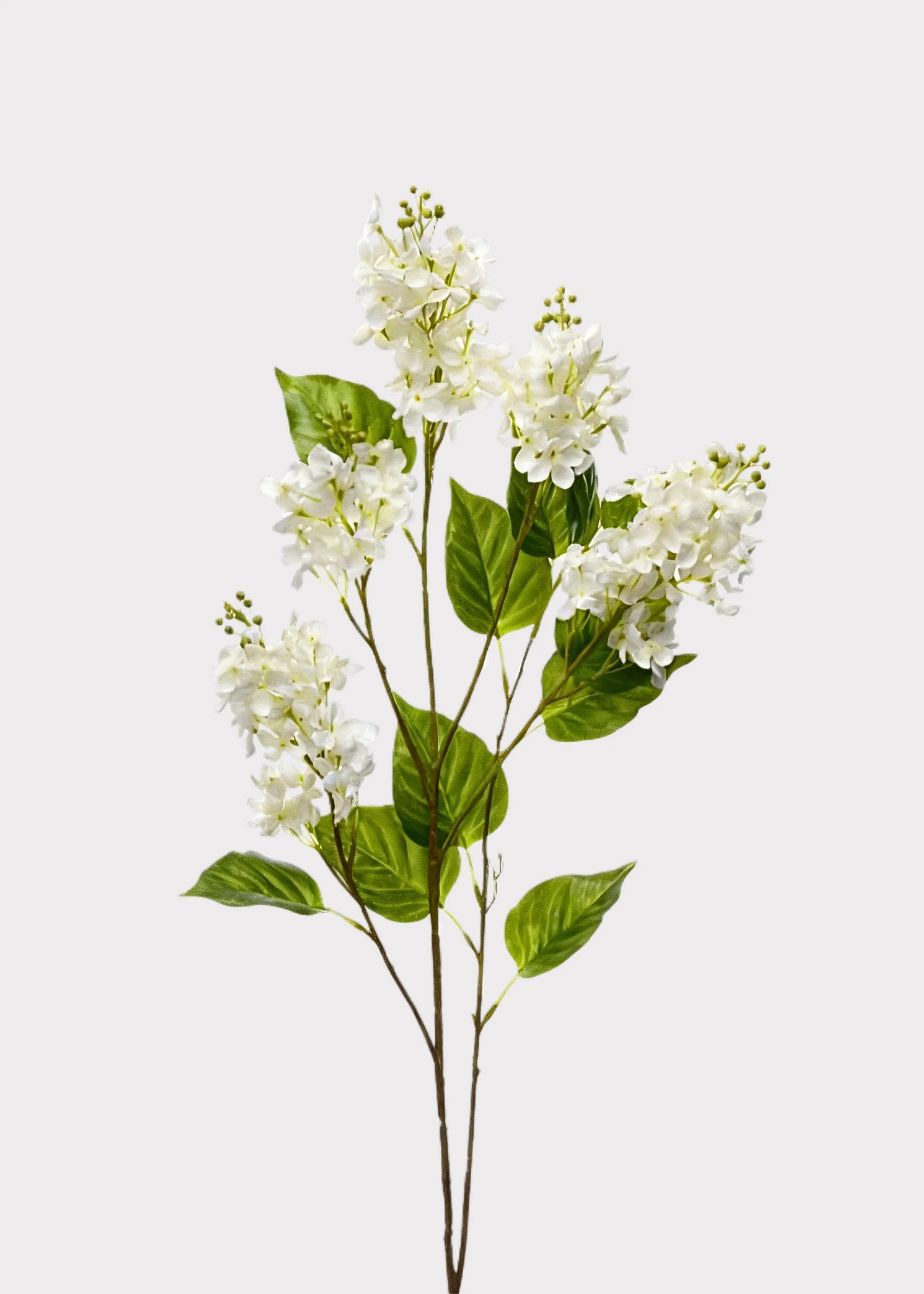 Artificial Spring Lilac Flower Branch in Cream - 40" | Afloral