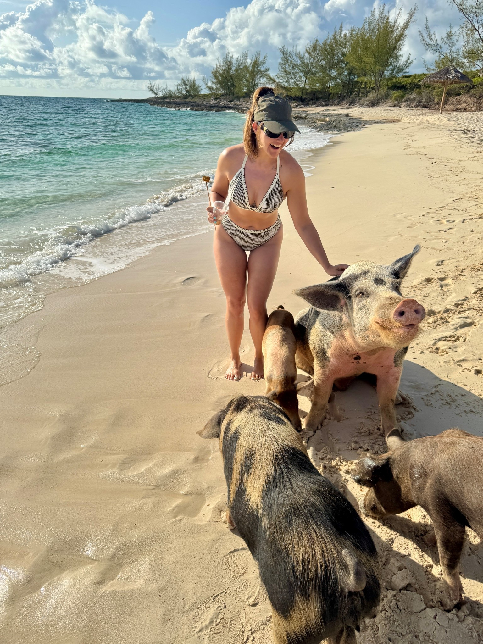 pig beach bahamas!!

cupshe tiramisu bikini set, popflex go with the bow high ponytail cap

#LTKSwim #LTKSummerEdit #LTKFindsUnder50