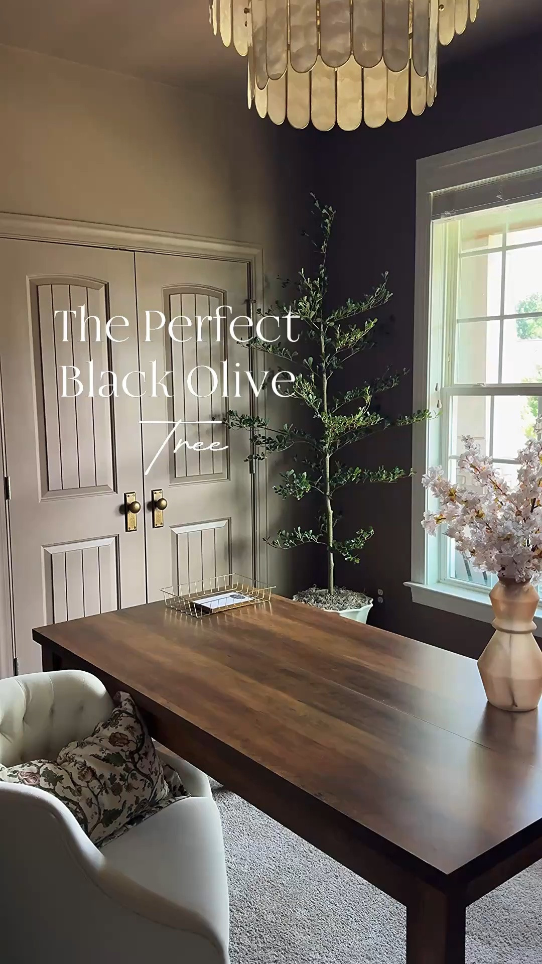 I found the perfect tree!! This 7ft Black Olive Tree is even more beautiful in person! 🤍 From the realistic branches to the elegant shape, it adds so much warmth and character to my home.

Faux Black Olive Tree, artificial Olive Tree, 7ft tree

#LTKHome #LTKSeasonal #LTKstorytime