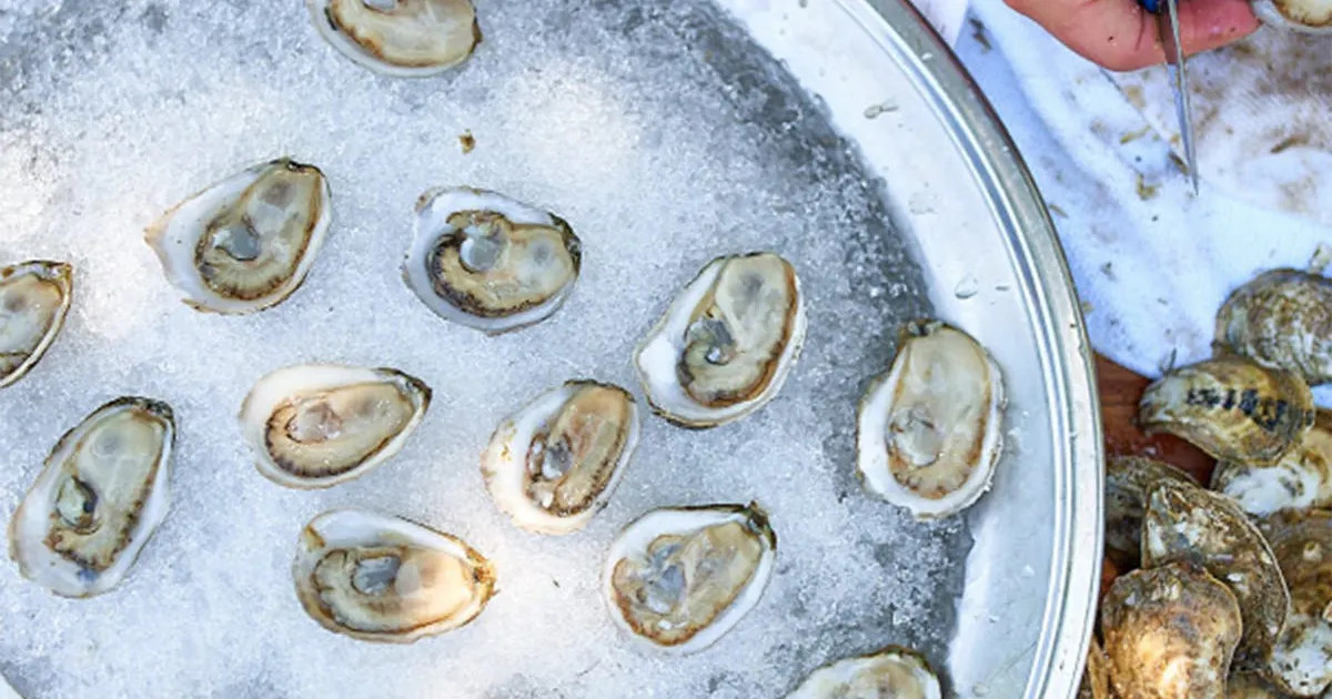 White Stone Oysters - 50 Pack by White Stone Oyster Company | Goldbelly | Goldbelly