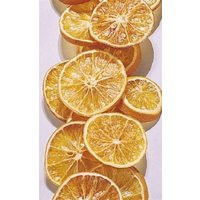 Dried Orange Slice. 20 Slices in A Bag | Etsy (US)