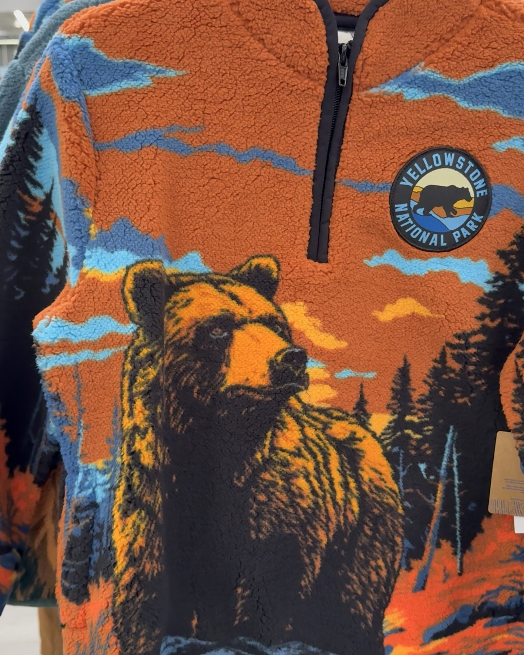 National Parks Rocky Mountains Boys Plush Quarter Zip Sweatshirt, Sizes 4-18 from walmart! 🥰

#LTKOver40 #LTKKids #LTKCyberWeek