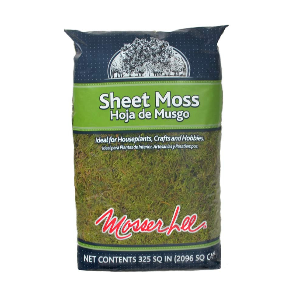 Mosser Lee ML0460 Natural Green Sheet Moss, 325 sq. in. | Amazon (US)