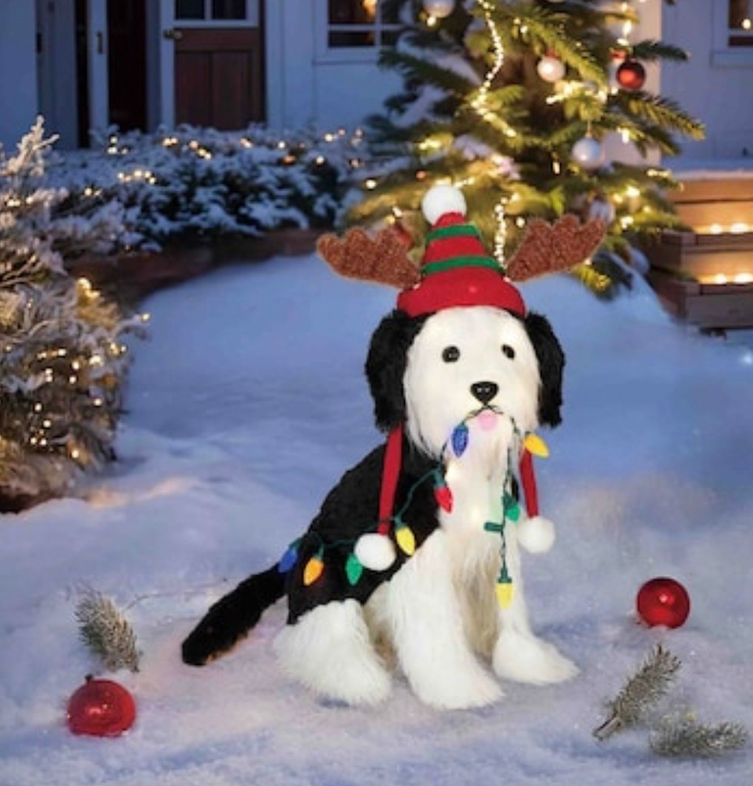 Shaggy puppy outdoor sheepdog doodle lawn decoration is so much fun. Weather resistant material for long lasting holiday decor.
Also found a few other pups & one looks like Charlotte
• 50 LED Warm white lights
• 40pcs warm white LED lights + 10pcs LED C7 string lights

#LTKHome #LTKPets #LTKSeasonal