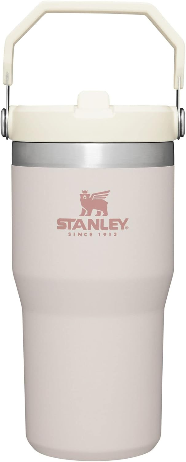 Stanley IceFlow Stainless Steel Tumbler with Straw - Vacuum Insulated Water Bottle for Home, Offi... | Amazon (US)