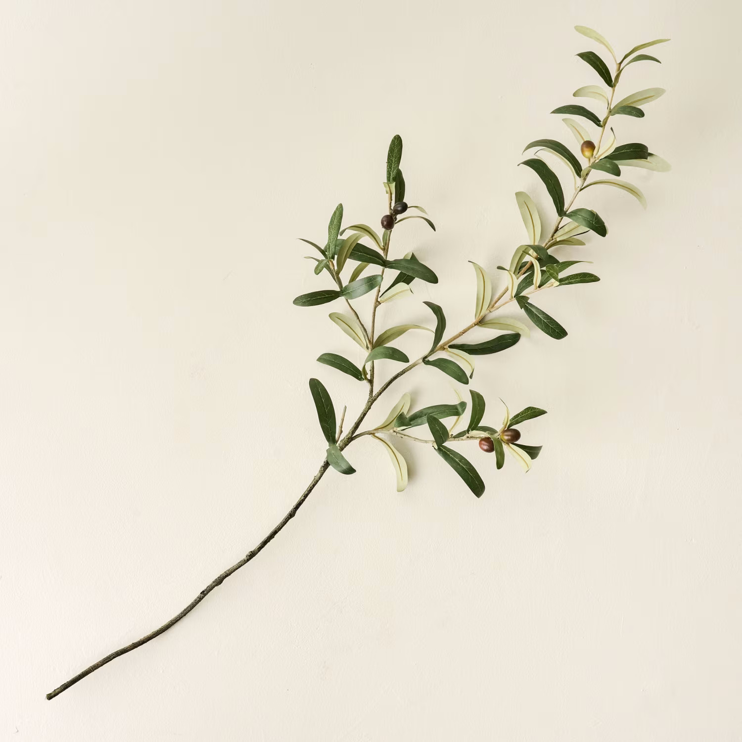 Olive Leaf Stem | Magnolia