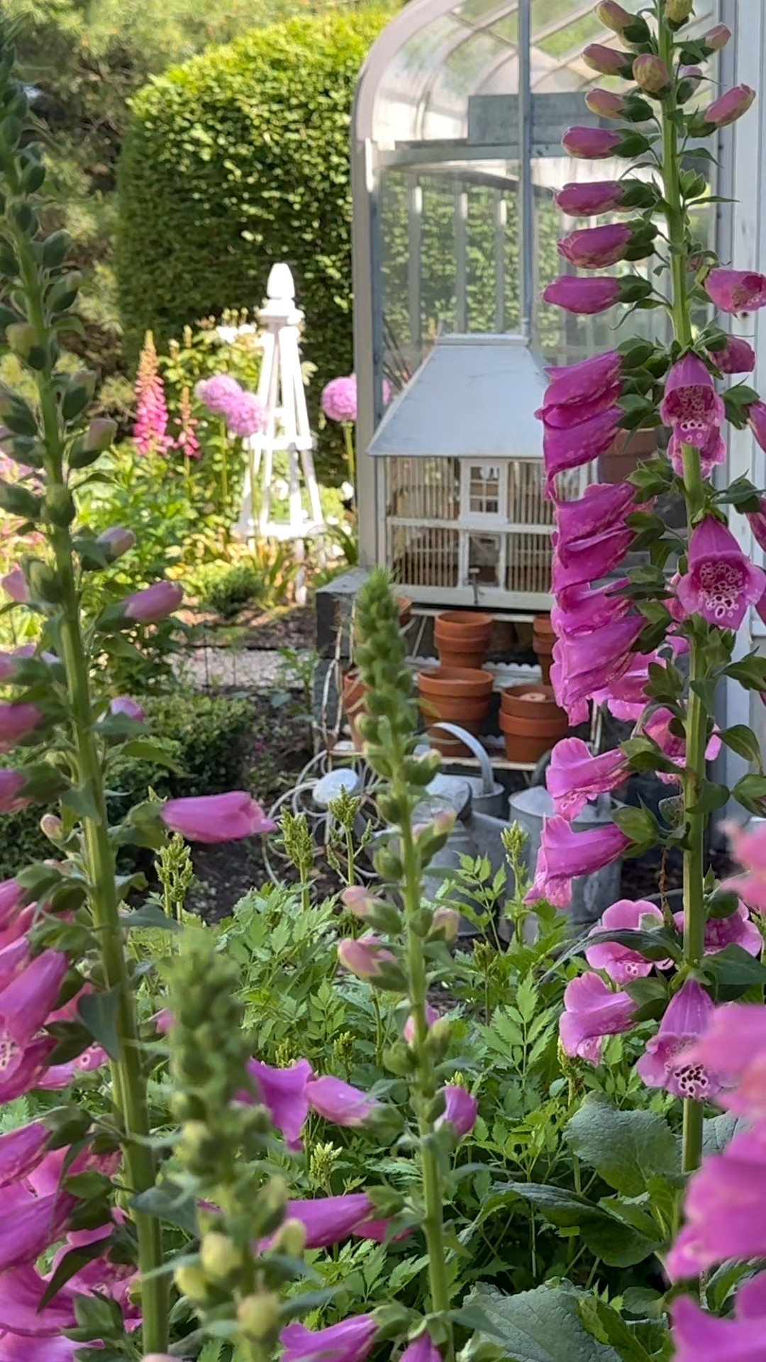 A true cottage garden is more than flowers—it’s layers of whimsy, charm, and storytelling 🤍

Think beyond blooms and add personality with
🌿 trellises
🌿 arbors
🌿 obelisks
🌿 birdhouses
🌿 vintage planters
🌿 and so many more thoughtful details

These elements create height, movement, and that old-world cottage feeling we all love. A garden should feel collected over time—romantic, imperfect, and full of quiet surprises.

✨ Save this for garden planning season
✨ Follow along for cottage garden inspiration
✨ Links to my favorite pieces are on LTK / in the comments