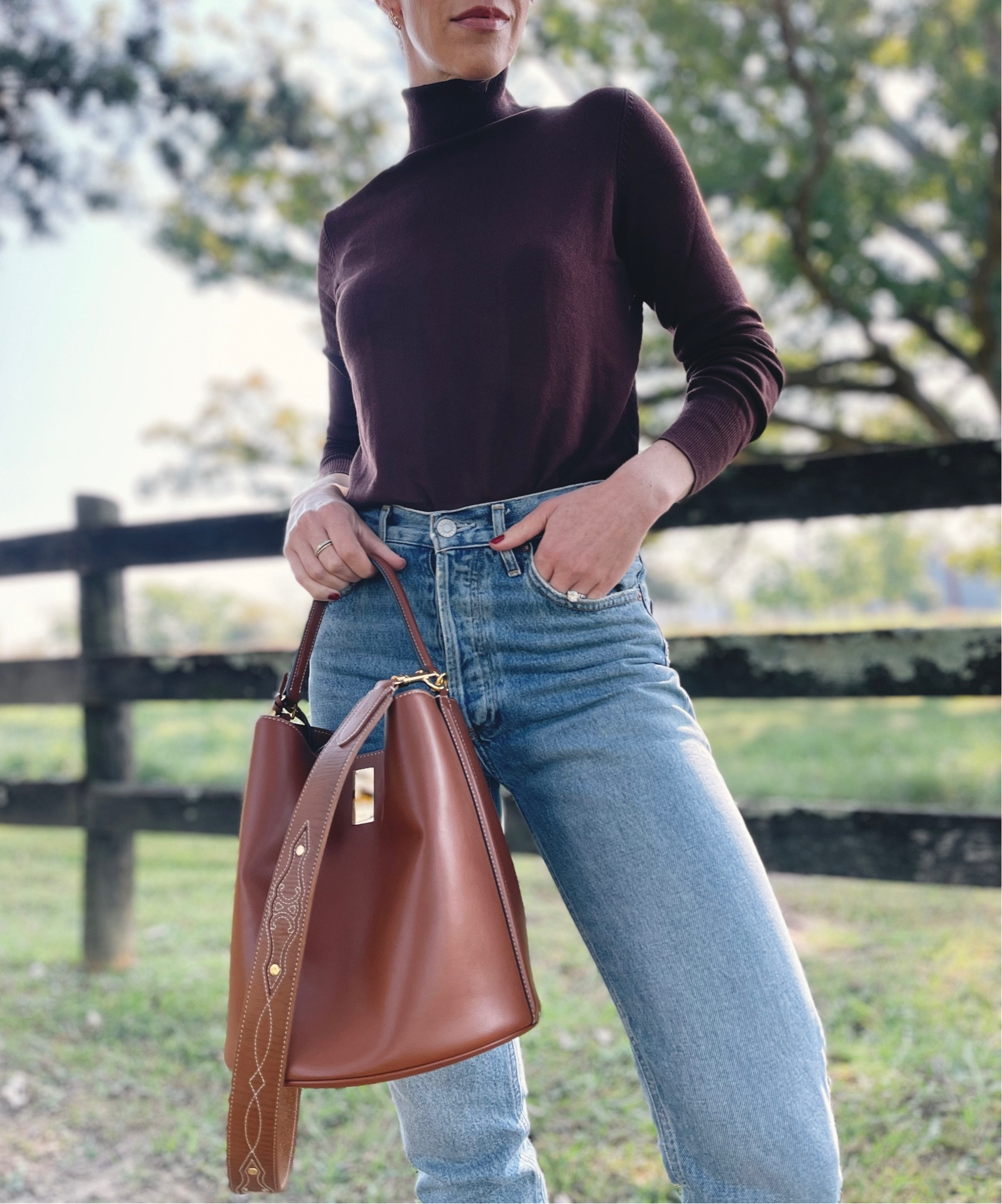 Fall outfit, brown turtleneck, AGOLDE jeans, Celine bucket bag 

#LTKunder50 #LTKSeasonal #LTKitbag