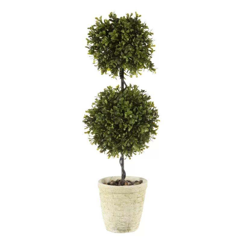 Spring Double Ball Boxwood Topiary in Planter | Wayfair North America