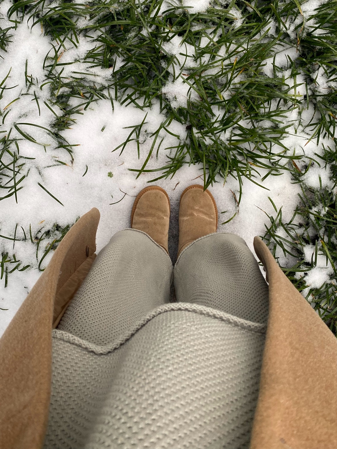 Free people sweater set!