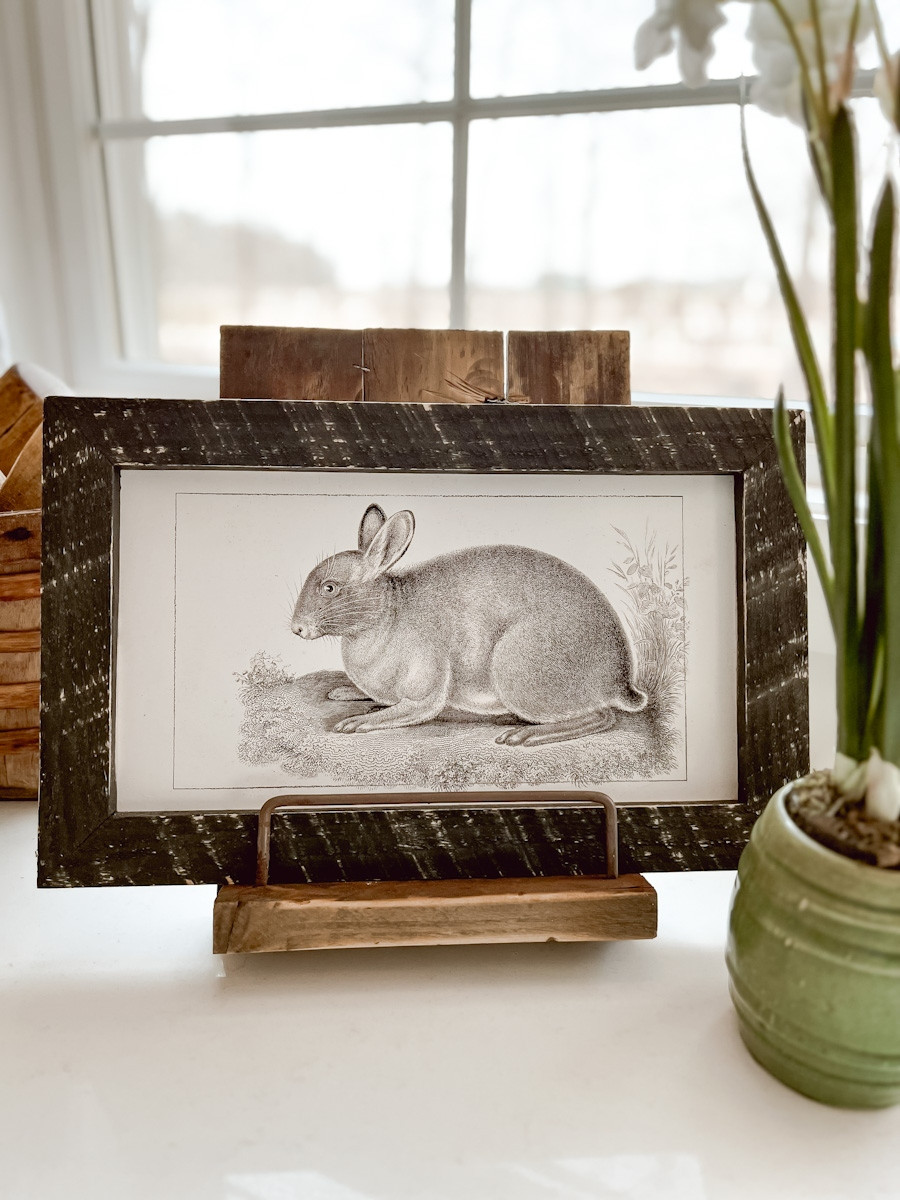 This rabbit print from Antique Farmhouse comes fully framed and ready to be displayed in your home. It is perfect for Spring. You can see it here displayed on one of our cookbook stands.  

 #LTKSeasonal #LTKHome