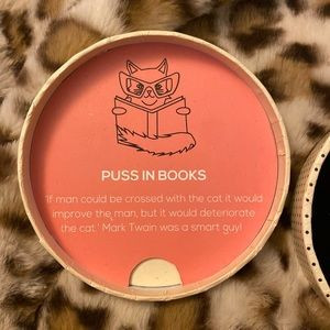 Original Erstwilder Puss in Books Brooch, New in Box | Poshmark