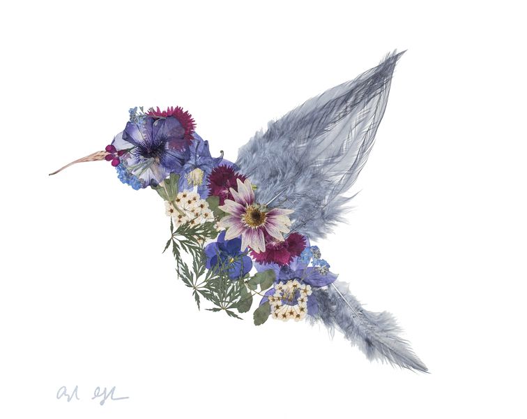 Pressed Floral Hummingbird by Ayla Graham on Artfully Walls | Artfully Walls