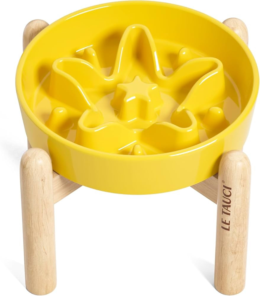 LE TAUCI Ceramic Slow Feeder Dog Bowls Elevated, 0.6 Cups Raised Dog Bowl with Wooden Stand for S... | Amazon (US)