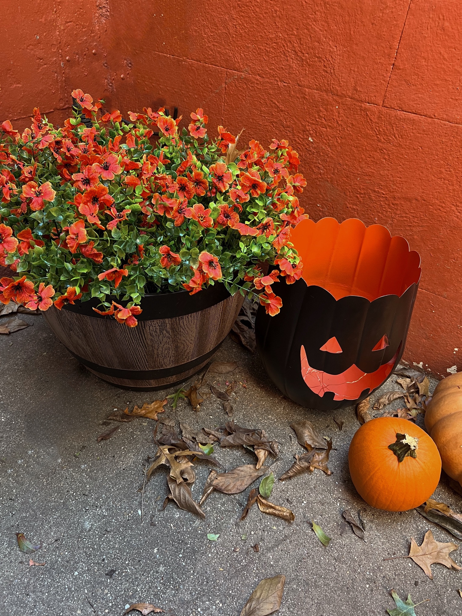 Faux mums

#LTKSeasonal #LTKHalloween #LTKHome