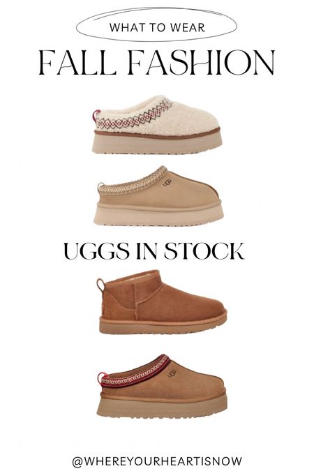 Uggs in stock
Tazz Uggs
Fall fashion
Now trending
Ultra mini Uggs
Sherpa Uggs


#LTKshoecrush #LTKstyletip #LTKSeasonal