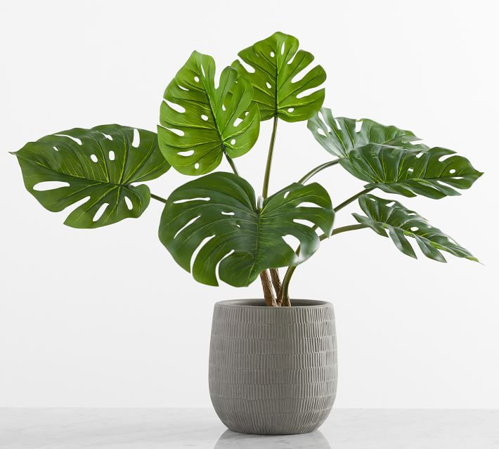 Faux Small Monstera Houseplant | Pottery Barn (US)