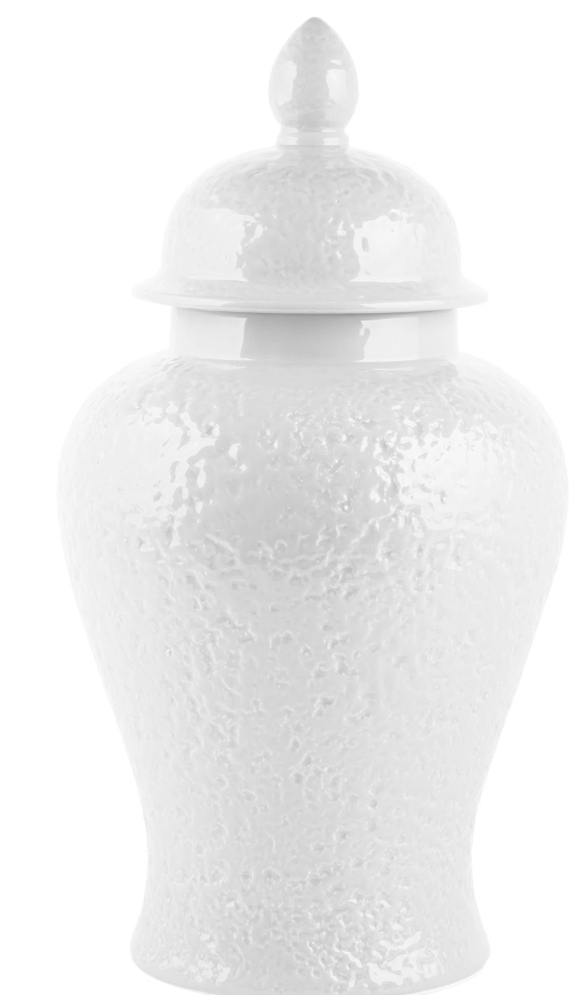 Ceramic / Porcelain Jar | Wayfair North America