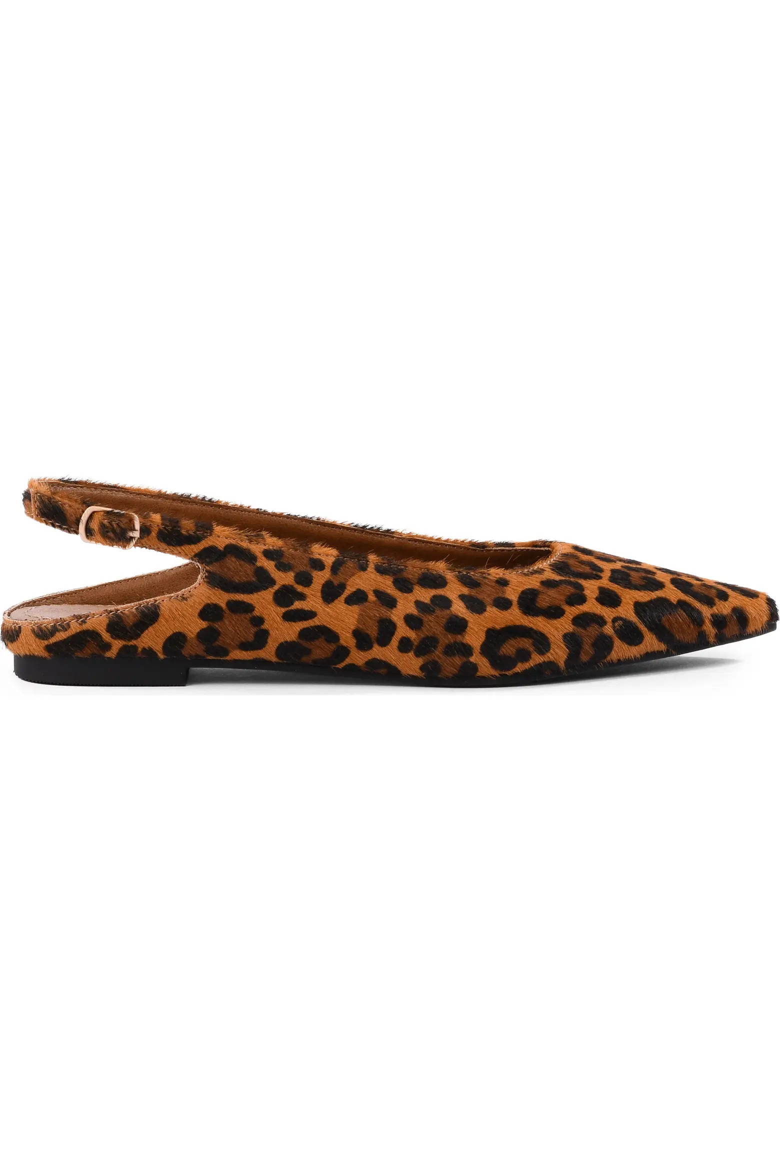 Seychelles Alameda Pointed Toe Slingback Flat (Women) | Nordstrom | Nordstrom