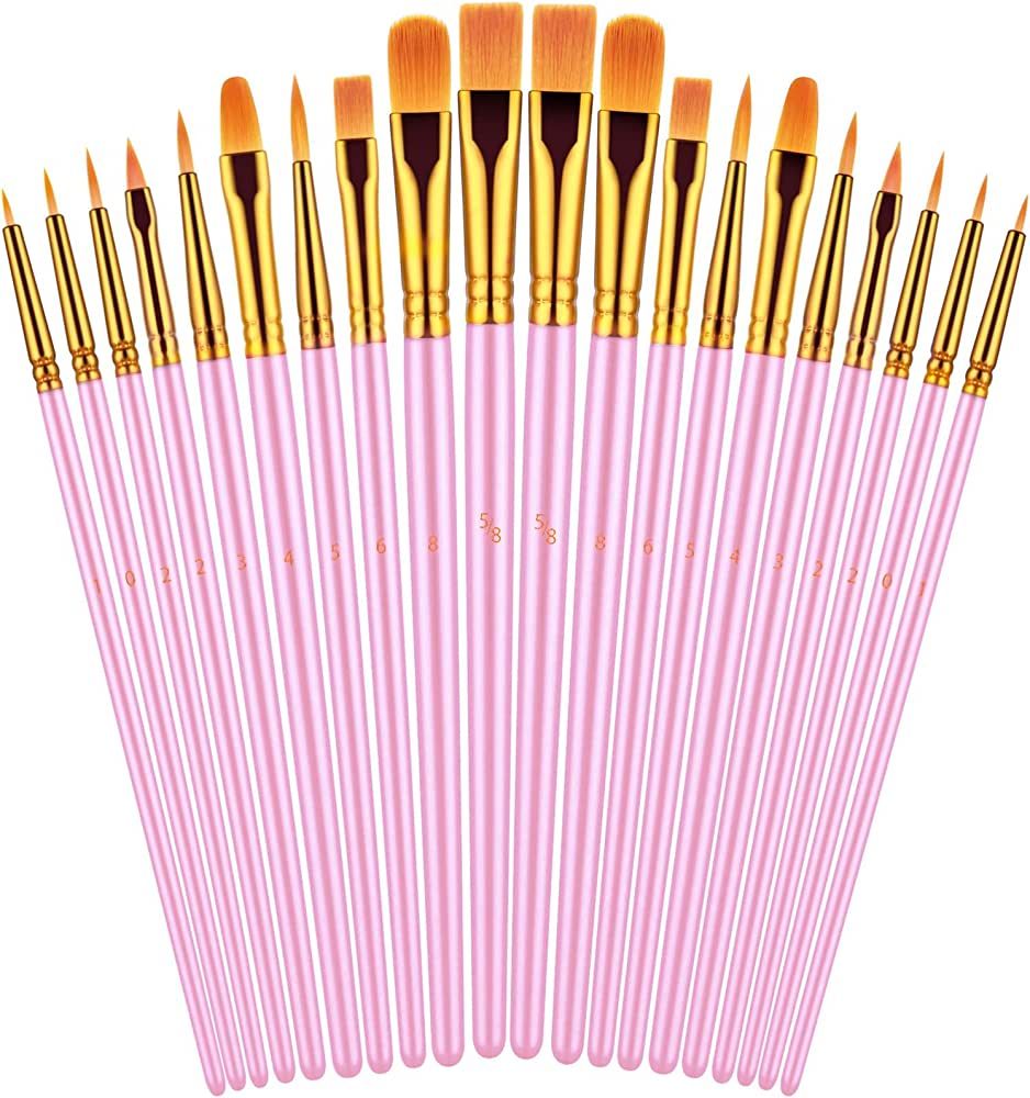 Paint Brushes Set, 20 Pcs Paint Brushes for Acrylic Painting, Oil Watercolor Acrylic Paint Brush,... | Amazon (US)