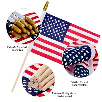 12 Pcs 8x12 Inch American Flags on Stick, Small USA Wood Stick Flags with Kid-Safe Spear Top, Ame... | Amazon (US)