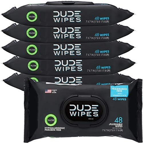 DUDE Wipes Flushable Wipes Dispenser, Unscented Wet Wipes with Vitamin-E & Aloe for at-Home Use, ... | Amazon (US)