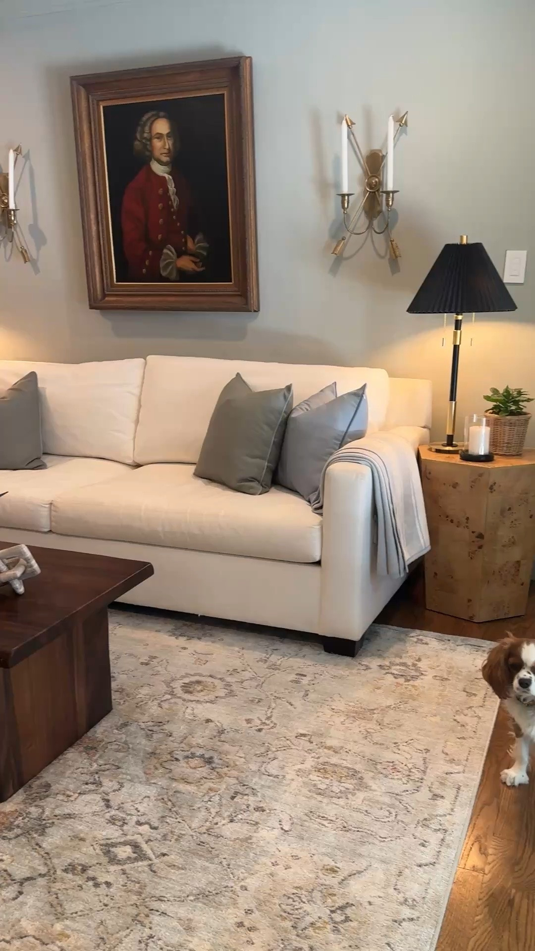 Mike’s den, coffee table, couch, pillows, end table 
Lamps were from Home Goods (rip online)