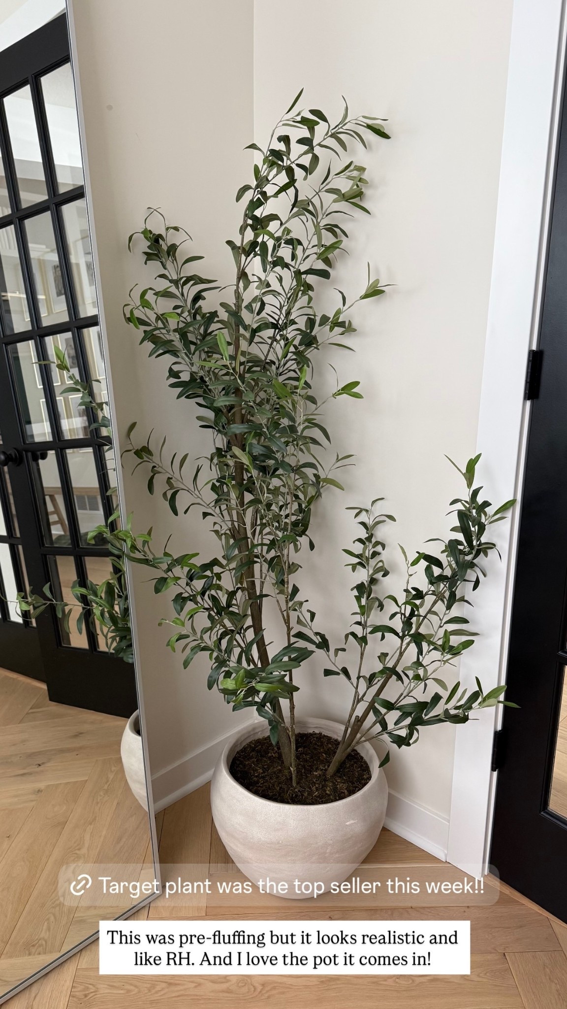 This was pre-fluffing but it looks realistic and like RH. And I love the pot it comes in!