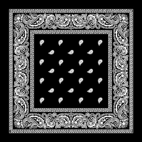 Large 100% Cotton Paisley Bandanas (22 inch x 22 inch) - Black Dozen Packed 22x22 - Use For Handkerchief, Headband, Cowboy Party, Wristband, Head Scarf - Double Sided Print | Amazon (US)
