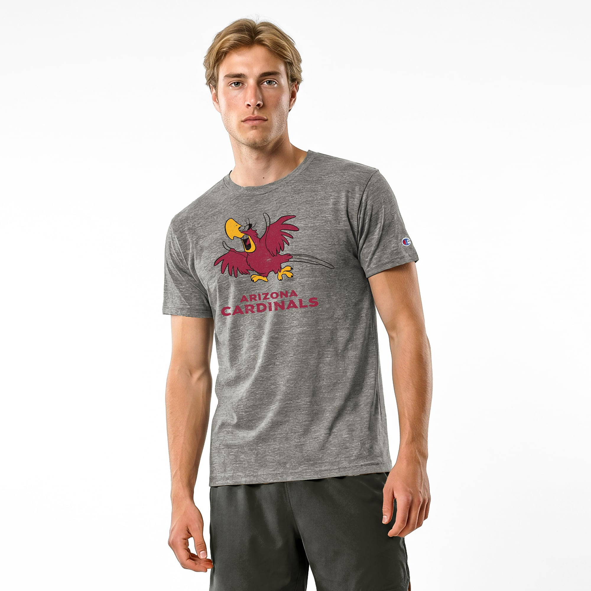 Arizona Cardinals Disney x Champion Iago Tri-Blend T-Shirt - Gray | Fanatics