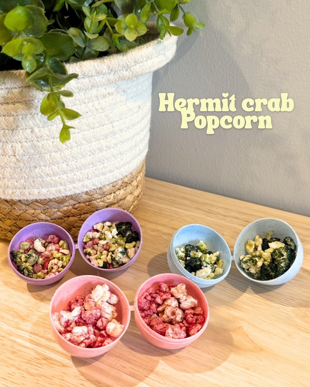 Hermit crab popcorn 