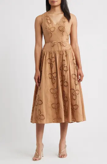 Embroidered Sleeveless Midi Dress | Nordstrom